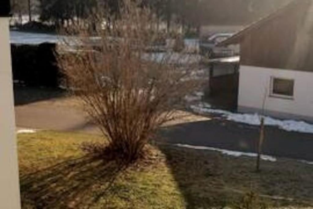 Ferienwohnung Zur Dicken Berta Wolfegg ภายนอก รูปภาพ