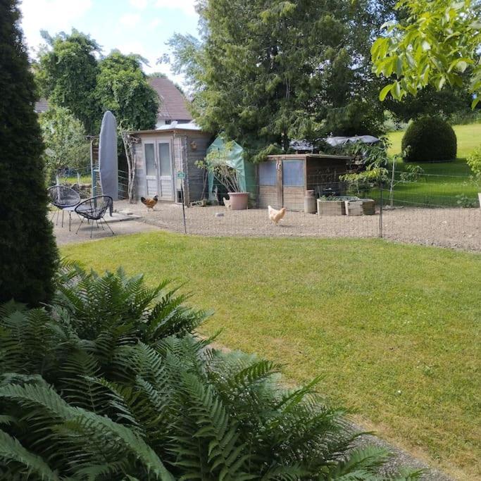 Ferienwohnung Zur Dicken Berta Wolfegg ภายนอก รูปภาพ